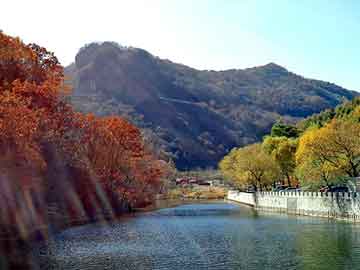 管家婆黑白马报图库，水平仪型号